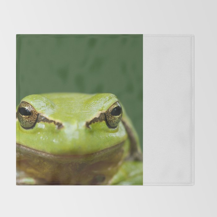 It S Not Easy Being Green Tree Frog Close Up Throw Blanket By