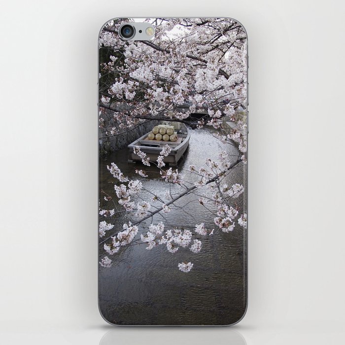 cherry blossoms in Japan iPhone Skin