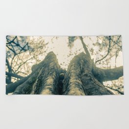 Up in the Trees Beach Towel