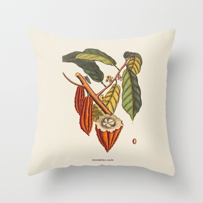 Cocoa Bean Antique Botanical Illustration Throw Pillow