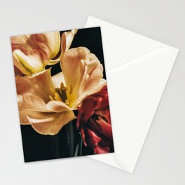 Sienna Flowers Stationery Cards