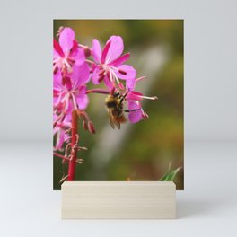 Bumblebee | Insect Photography Mini Art Print