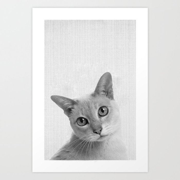 Cat Sad Face Portrait Art Print