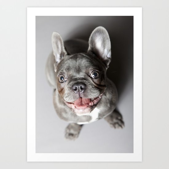 French Bulldog Art Print