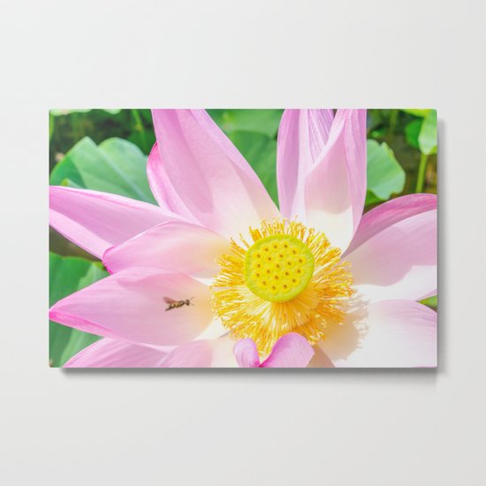 Tag You're It Metal Print