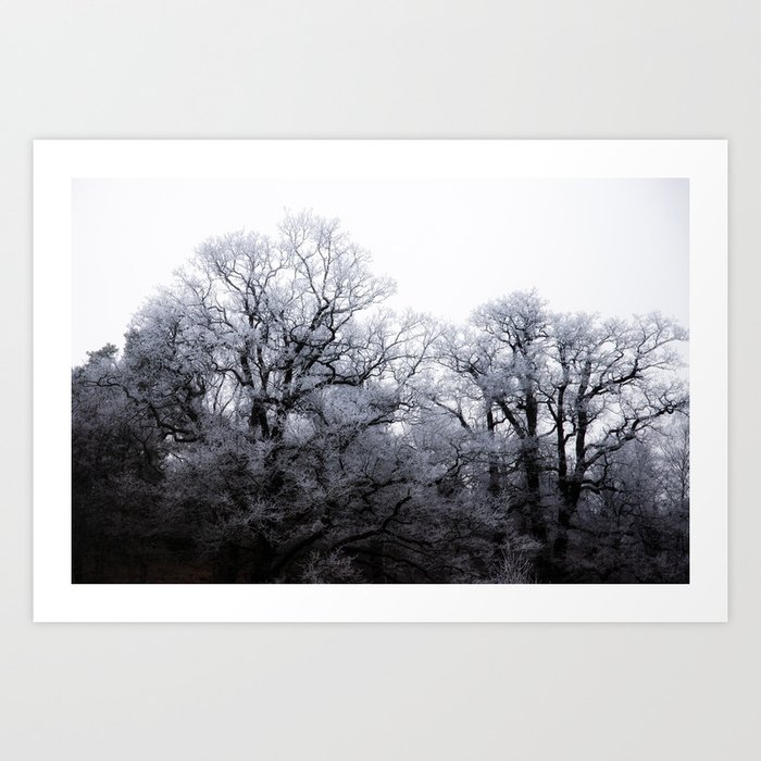 Frosty Trees Art Print