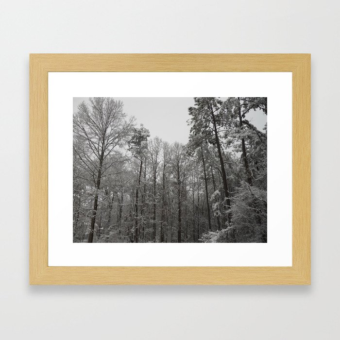 Snow in the Trees Framed Art Print