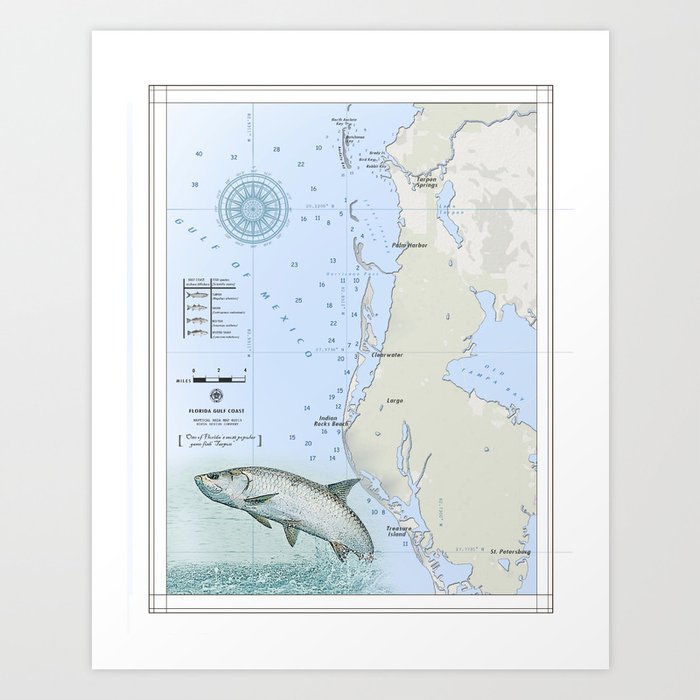Tampa Bay Tarpon Springs Nautical Inspired Map Art Print By Kokuadesigncompany Society6