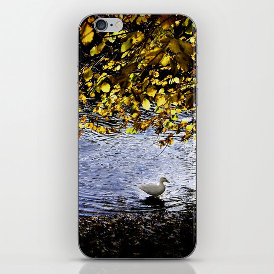 Lonely duck in forests iPhone & iPod Skin