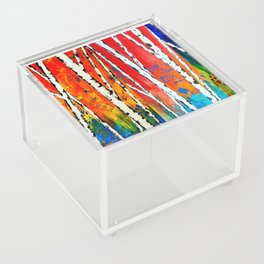 Birch Acrylic Box