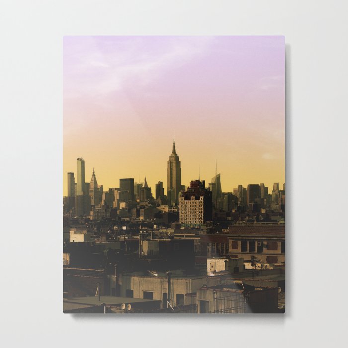 Views From The Lower Metal Print