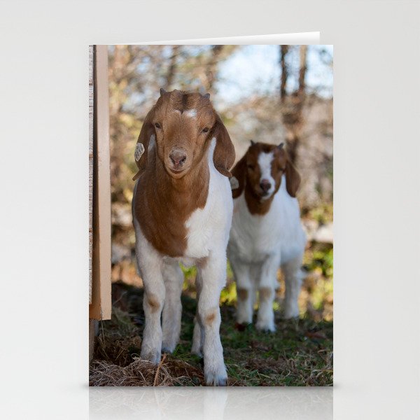 Two Young Brown White Goats Look  Stationery Cards
