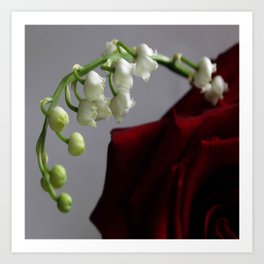 Rose and lily of the valley 1 Art Print