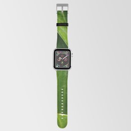 Anthurium Leaves Close Up Photography  Apple Watch Band