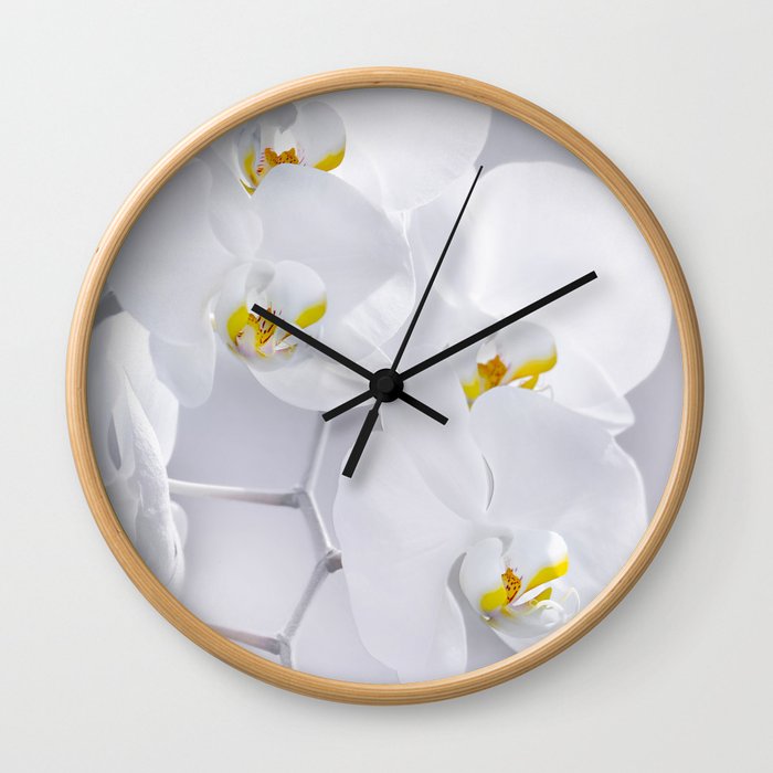 Orchid white macro 029 Wall Clock
