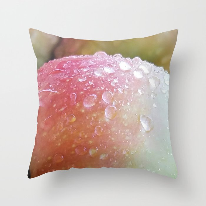 Apples after the Rain Throw Pillow