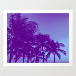 Palm Trees Tropical Beach Night  Art Print