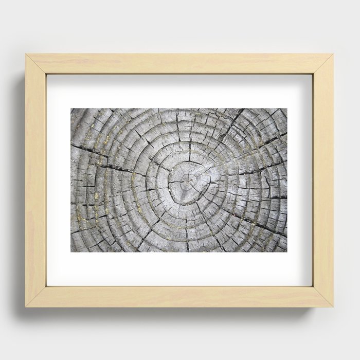 Tree Rings Monochrome Nature Art Photo Recessed Framed Print