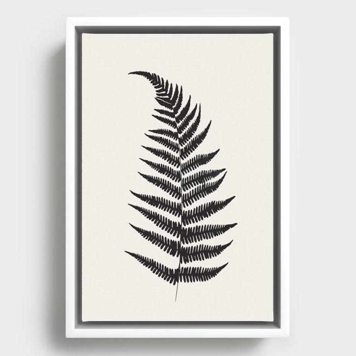 Framed Canvas
