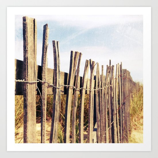 Fence Art Print