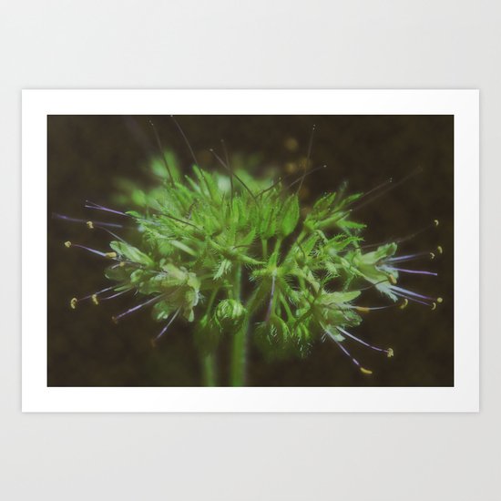 spindles Art Print