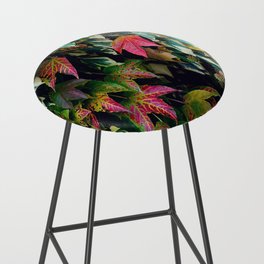 Carnival of fall colors | Variegated colorful leaves | Autumn season coming to its end Bar Stool