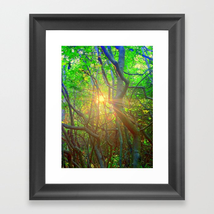 Peeking Sun  Framed Art Print