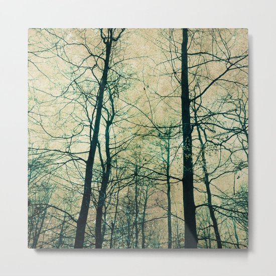 bare branches Metal Print