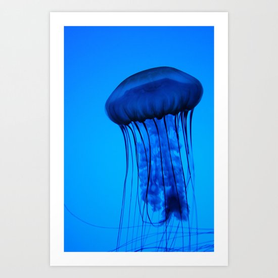 Jelly in the Blue Art Print