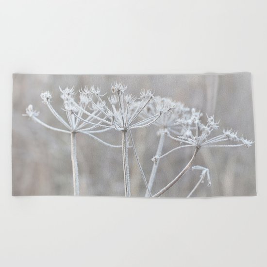cow parsley plant with hoarfrost in winter Beach Towel