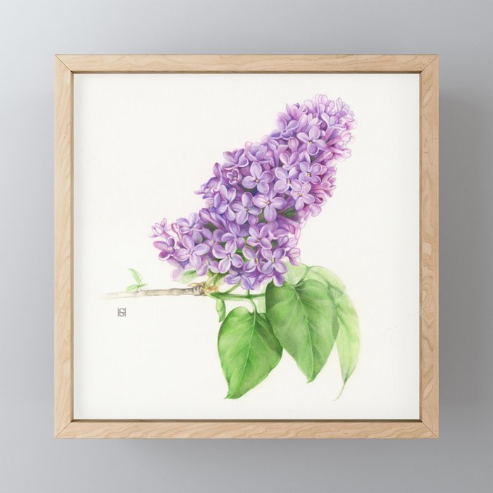 Lilac Branch Framed Mini Art Print