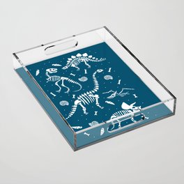 Dinosaur Fossils in Blue Acrylic Tray