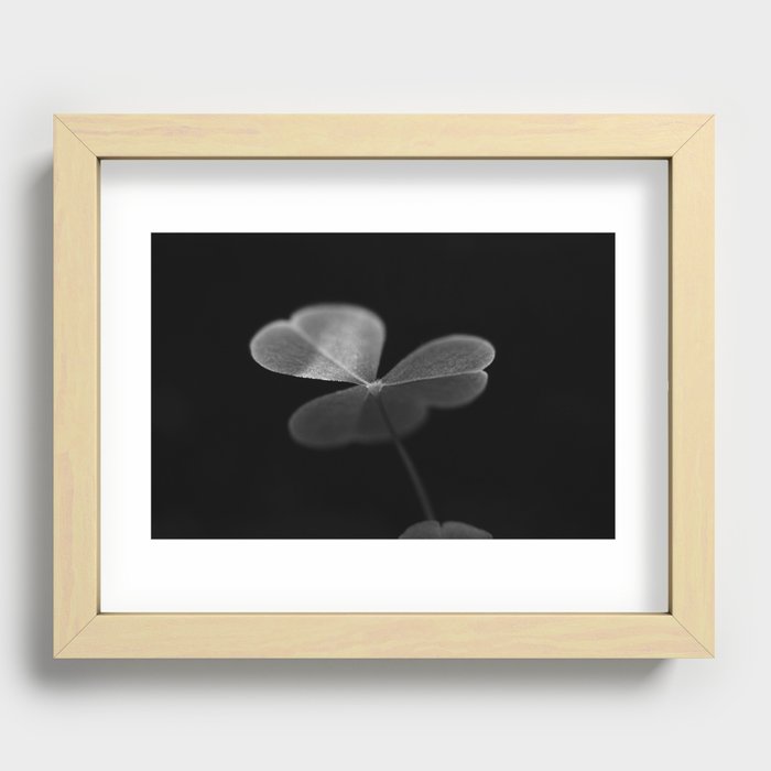 Oxalis in black and white Recessed Framed Print