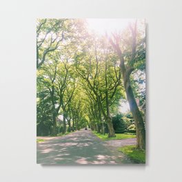 East Hampton Summer Drive Metal Print | Trees, Photo, Newyork, Hamptons, Cruise, Relax, Foliage, Explore, Summer, Easthampton 