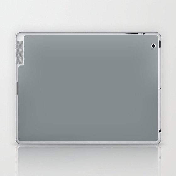 Pebble Laptop & iPad Skin