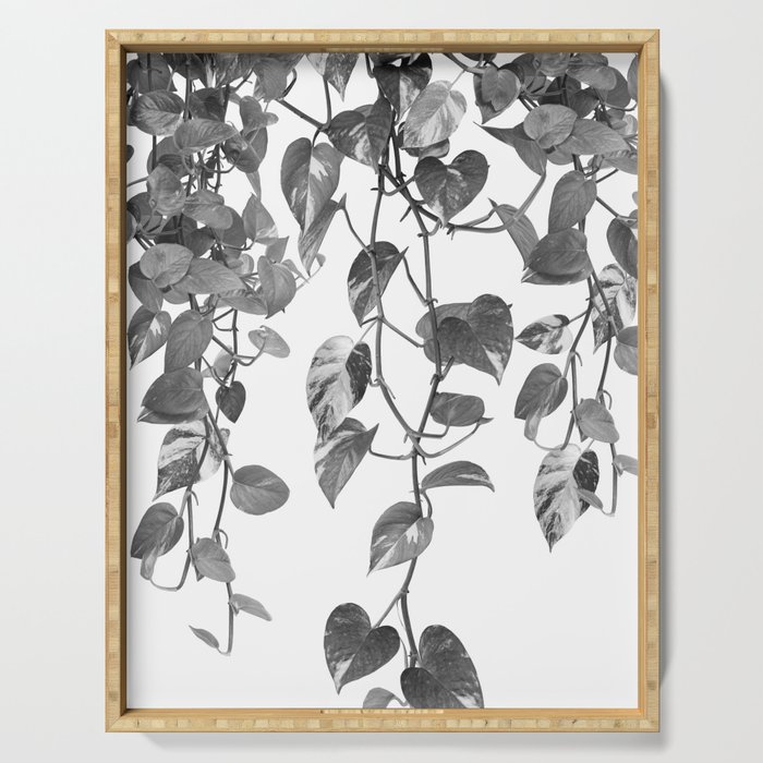 Golden Pothos Ivy Dream #2 #tropical #wall #art #society6 Serving Tray