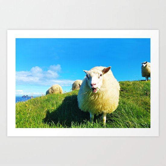 Sheeps in Iceland with Green Field Art Print