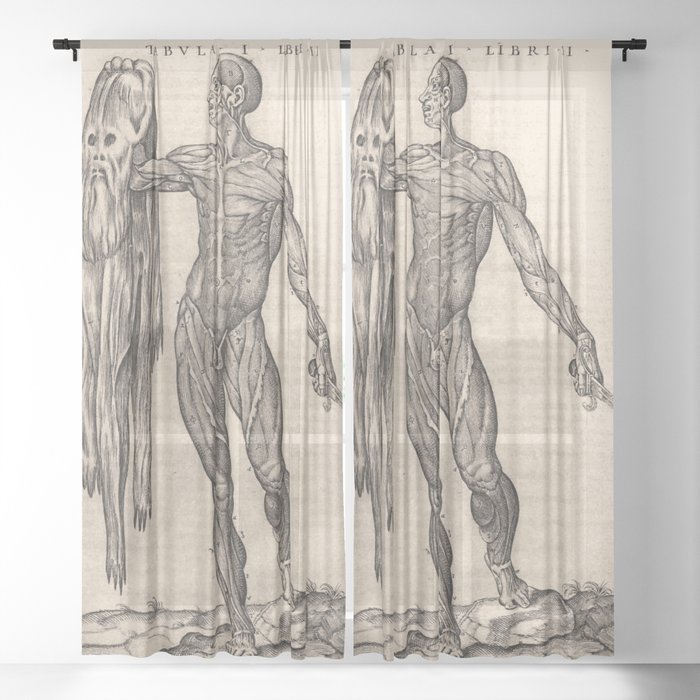 Sheer Curtain