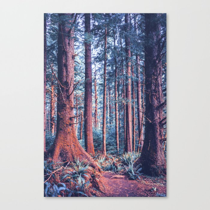 The Blue Forest Canvas Print