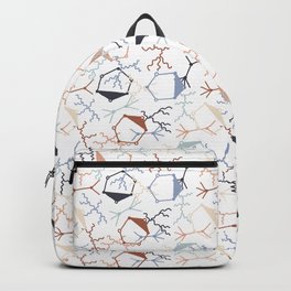 Chaotic Particle Physics on White Backpack