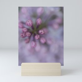 Lilacs Mini Art Print