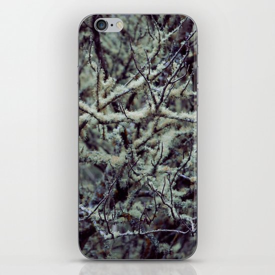 Green Lichen iPhone & iPod Skin