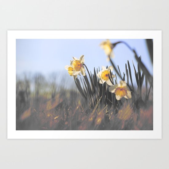Earlies Art Print