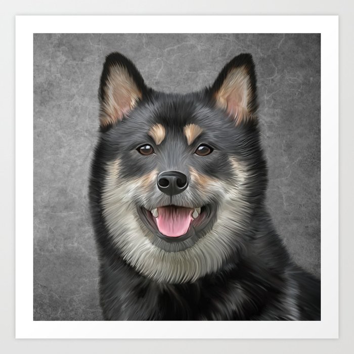 Drawing Japanese Shiba Inu Dog Art Print By Bonidog