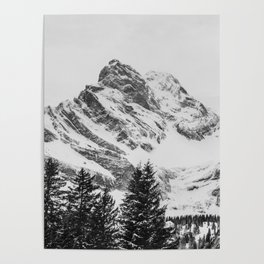 black and white like forest and snow Poster