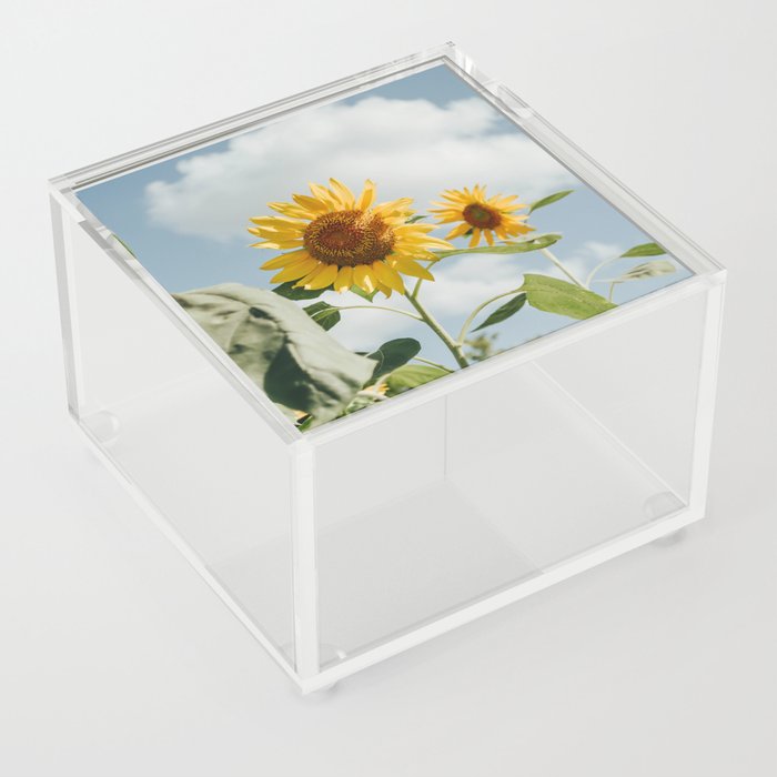 564 Sunflower Acrylic Box