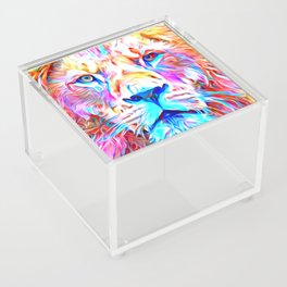 Colorful Lion Acrylic Box