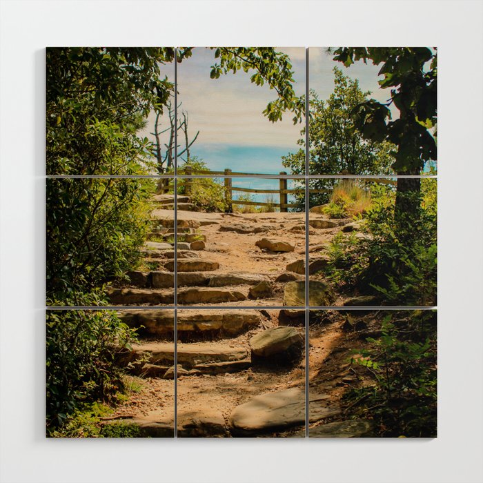 Steps of the Mountain Wood Wall Art