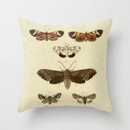 Vintage Moths Throw Pillow