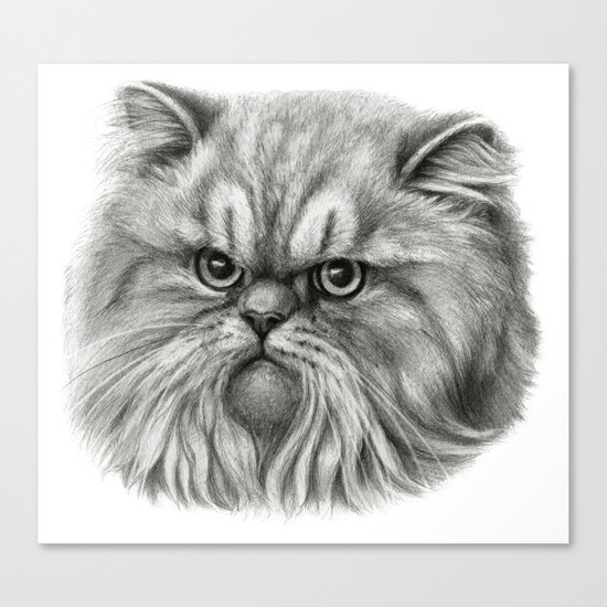 Persian Cat SK072 Canvas Print